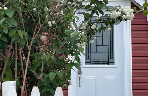 Downtown St. John's House | Home in downtown St. John's