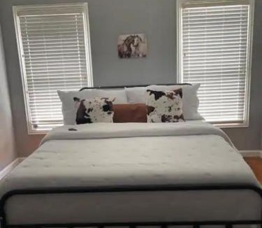 Fort Worth Cultural District House | Home in Fort Worth
