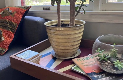 Topsham House | Home In Topsham