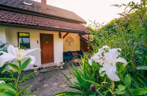 Le Menil House | Home - Retour aux sources