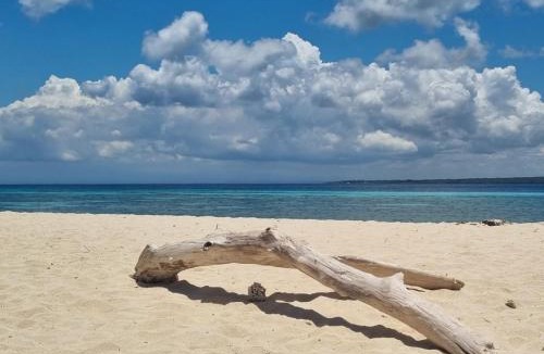 Bira Resort | Home Stay Ramli