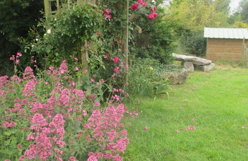 Lampaul-Plouarzel House | home to gulls and blue shutters