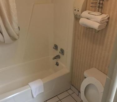 Flint Hotel | Home Town Inn