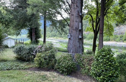 Umpqua House | Home with cabin effect- private access to river