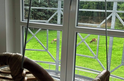 Nibe House | Home with red deer on 23 hectares of natural land