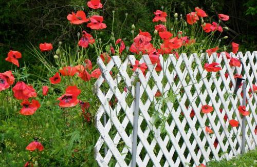 Lunenburg Hotel | Homeport Motel