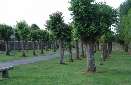 Montmartin-sur-Mer Apartment | Homerez - Apartment in Montmartin-sur-Mer