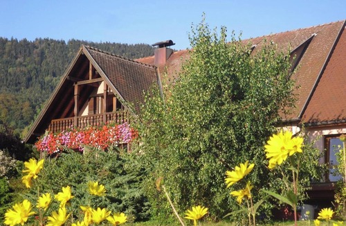 Thannenkirch Apartment | Homerez - Appt Thannenkirch, Mountain View