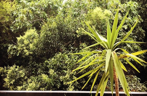 Gares Apartment | Homerez - Apt Montpellier, garden