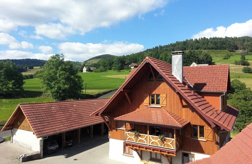 Soultzeren Apartment | Homerez - Apt. Soultzeren, mountain view