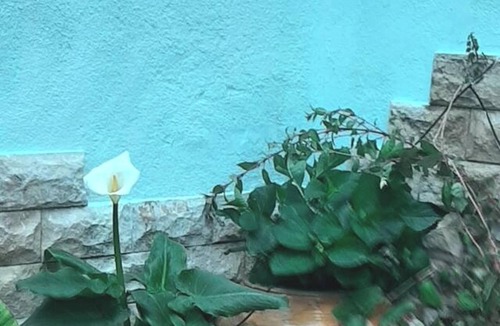 Ores House | Homerez - Charming House in Orés
