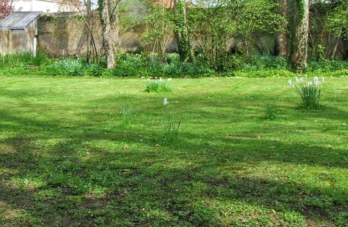 Ryes House | Homerez - Charming house in Ryes with enclosed garden & wheelchair access