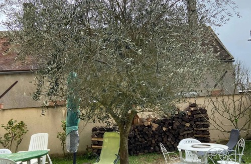 Chenou Apartment | Homerez - Charming Studio with Terrace in Chenou