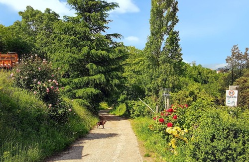 Escaro House | Homerez - Comfortable Bungalow in Escaro with Shared Pool