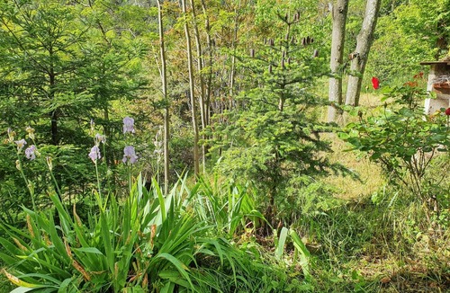 Escaro House | Homerez - Comfortable Bungalow in Escaro with Shared Pool