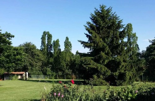 Mareuil-sur-Cher House | Homerez - House in Mareuil-sur-Cher