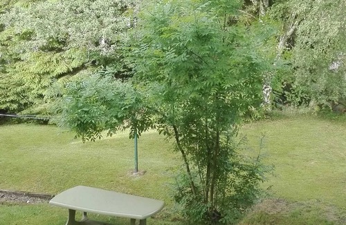 Xonrupt-Longemer House | Homerez - House in Xonrupt-Longemer