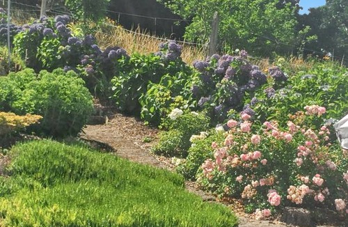 Chateaulin House | Homerez - House in Châteaulin.