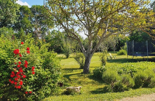 Narbonne House | Homerez - House in Narbonne with pool