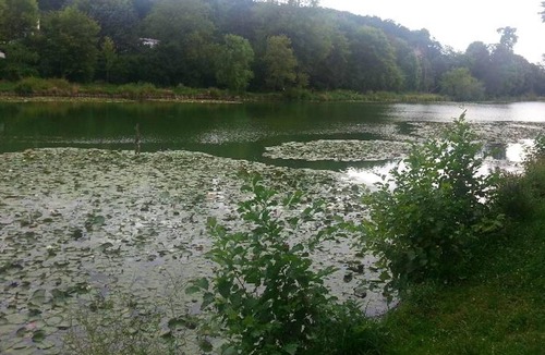 Ville-d'Avray Apartment | Homerez - Nice studio 1 km away from the slopes for 2 ppl. at Ville-d'Avray