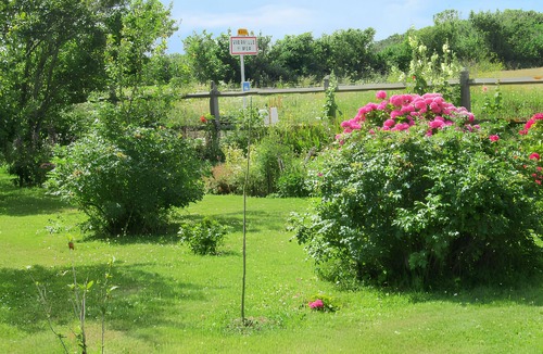 Vierville-sur-Mer Apartment | Homerez - Studio in Vierville-sur-Mer