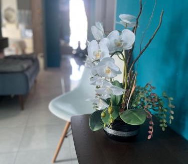 Kenangan Tun Syed Nasir House | Homestay Axalea