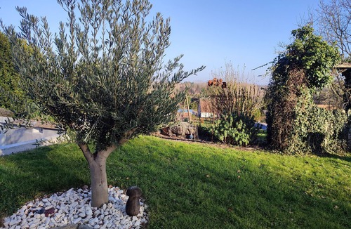 Chateau-l'Hermitage House | Homestay