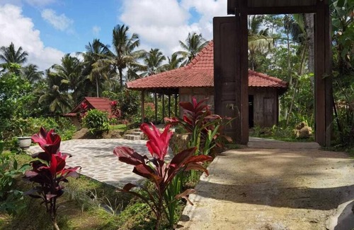 Kalipuro Cabin | Homestay Ijen Lemonhouse