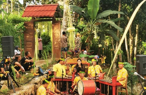 Kalipuro Cabin | Homestay Ijen Lemonhouse