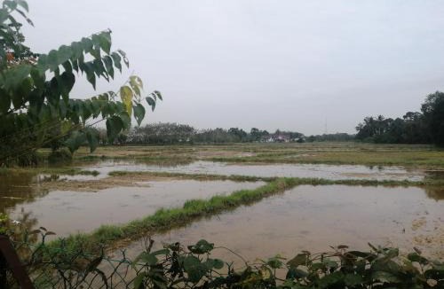 Peringat House | Homestay Insan