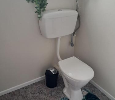 Reefton House | Homestay Reefton