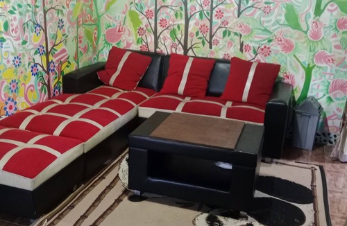 Dieng House | homestay sederhana yang berada di perkebunan dan obyek wisata candi arjuna