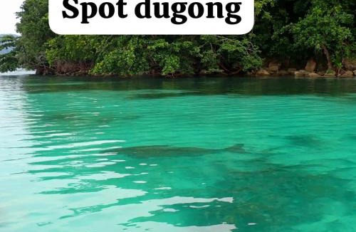 Mansuar Island House | Homestay Yenkop