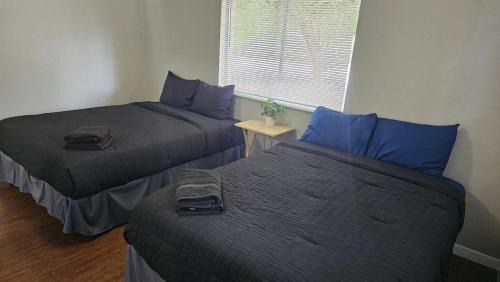 Austin House | Homey 2BR Home Near Downtown & Airport