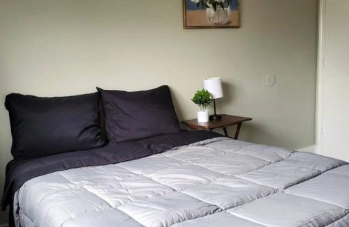 Converse House | Homey 4BR Home in Converse Near Airforce Base