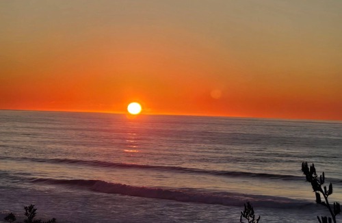 New Plymouth House | Homey Simple Abode