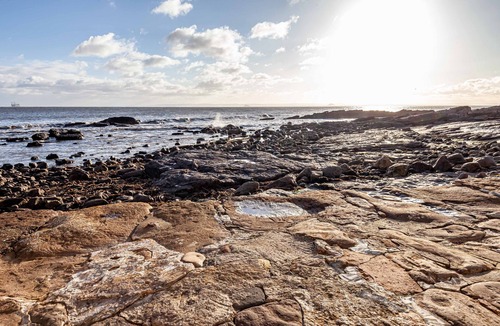 Cellardyke Cottage | Honeybee Cottage | Cellardyke