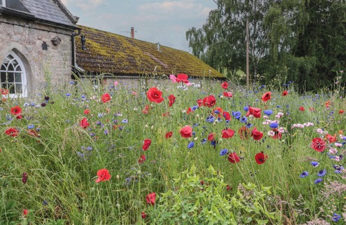 Ford Cottage | Honeysuckle Cottage
