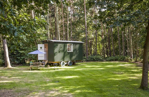 Melton Constable Cottage | Honeysuckle Hut-QU7066