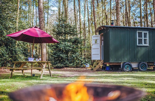 Melton Constable Cottage | Honeysuckle Hut-QU7066