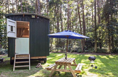 Melton Constable Cottage | Honeysuckle Hut-QU7066