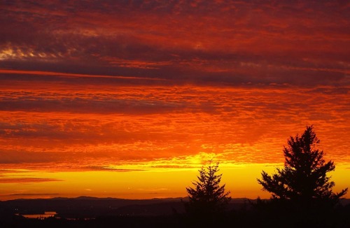 Washougal Cabin | Hooper Hill Hostel