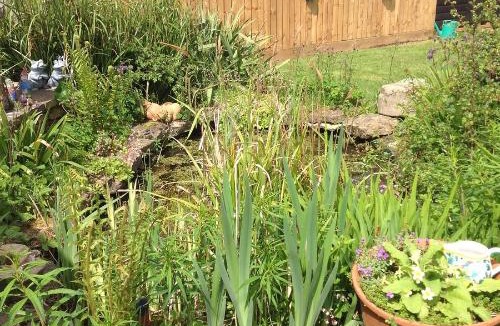 Whichford Apartment | Hops and the Vines