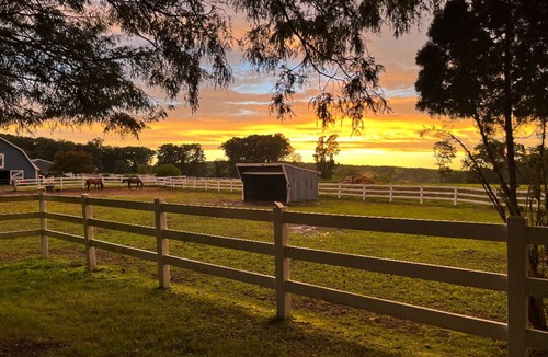 Oxford House | Horse Heaven