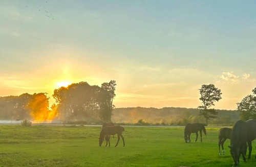 Oxford House | Horse Heaven