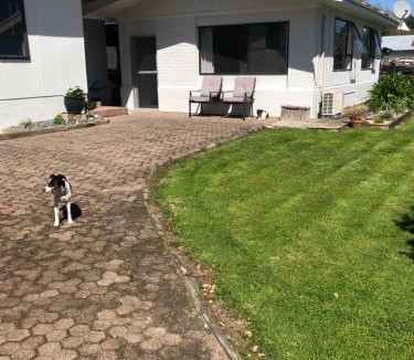 Cambridge Bed & Breakfast | Horseinaround