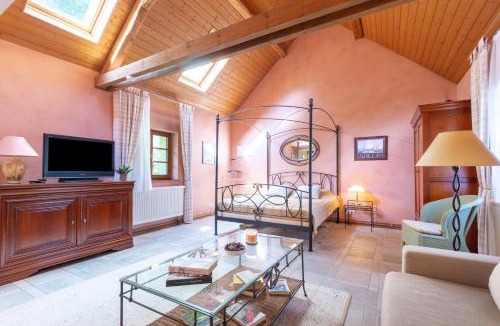 Hessenheim House | Hortensia - Piscine partagée