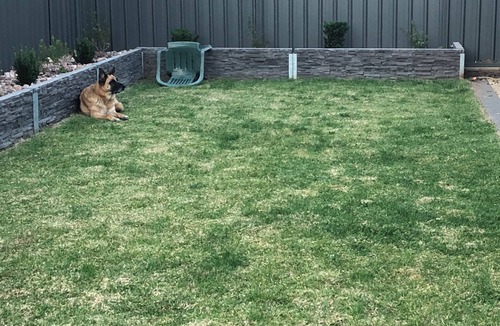 Evanston Gardens House | Host-Shared Garden Home