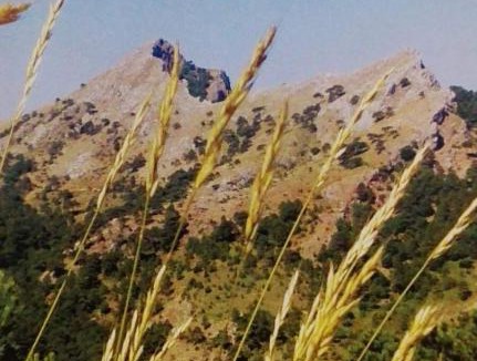 Paterna del Madera Bed & Breakfast | Hostal Almenara
