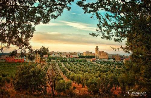 Arnes House | Hostal Can Barrina